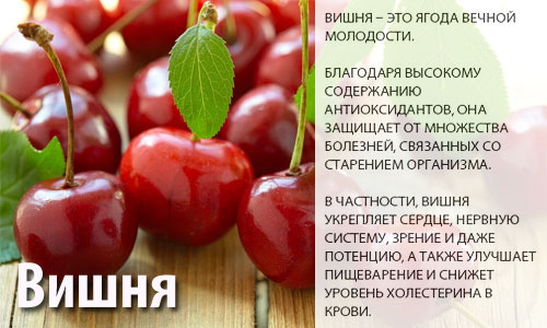 Настойка из вишни на водке листьях малины смородины вишни. nastoyka iz vishni chernoplodnoy ryabiny smorodiny maliny 6. Настойка из вишни на водке листьях малины смородины вишни фото. Настойка из вишни на водке листьях малины смородины вишни-nastoyka iz vishni chernoplodnoy ryabiny smorodiny maliny 6. картинка Настойка из вишни на водке листьях малины смородины вишни. картинка nastoyka iz vishni chernoplodnoy ryabiny smorodiny maliny 6. Длина брюк и джинсов. http://images.vfl.ru/ii/1571488508/040b14c3/28248262_m.png