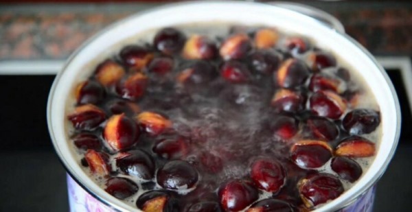 Сливянка с водкой, дрожжами, косточками, на спирту. Рецепты, как приготовить в домашних условиях