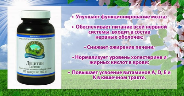 Эмульгатор е322 что это такое вред и польза. Смотреть фото Эмульгатор е322 что это такое вред и польза. Смотреть картинку Эмульгатор е322 что это такое вред и польза. Картинка про Эмульгатор е322 что это такое вред и польза. Фото Эмульгатор е322 что это такое вред и польза