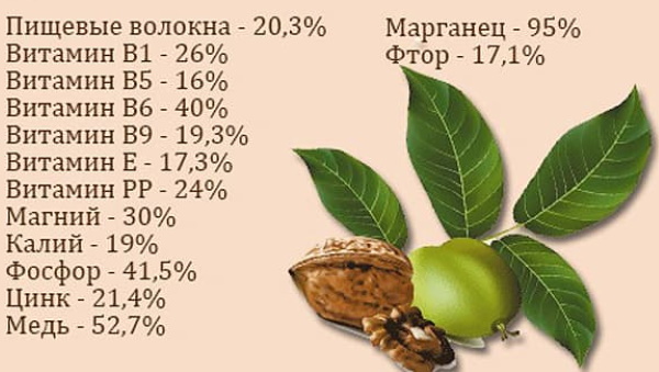 Грецкие орехи. Польза для женщин, суточная норма. Состав, калорийность, БЖУ, противопоказания