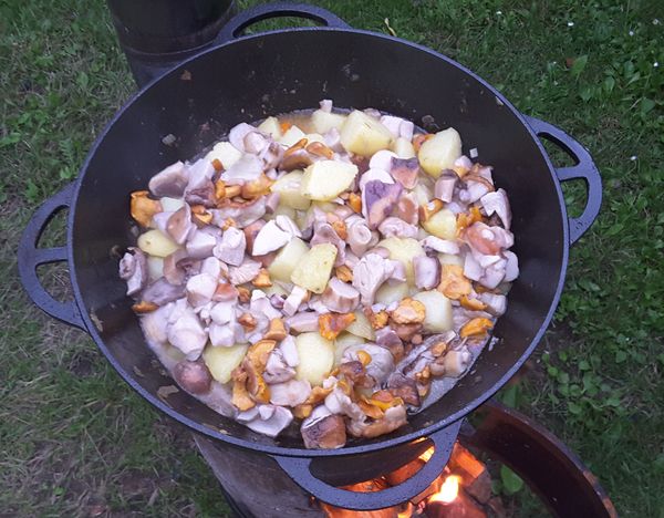 Картошка с тушенкой в кастрюле. Рецепты пошагово с грибами, овощами, томатной пастой