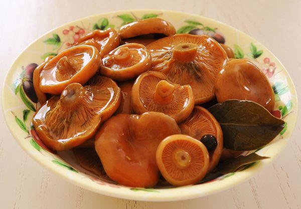 Маринованные рыжики. Рецепты приготовления на зиму в банках горячим способом