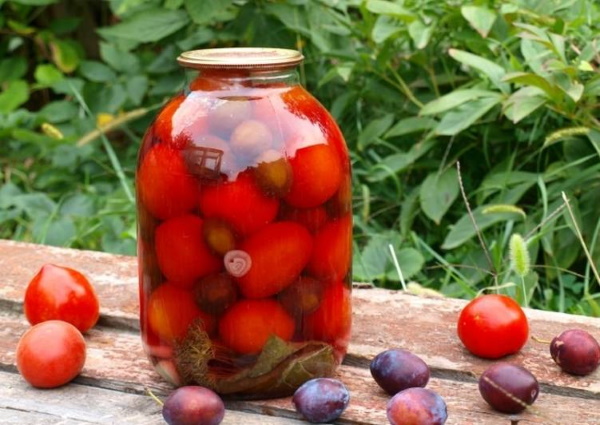 Слива маринованная на зиму. Рецепты консервирования без