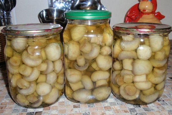 Тушеная индейка с картошкой. Рецепты в мультиварке, духовке, казане