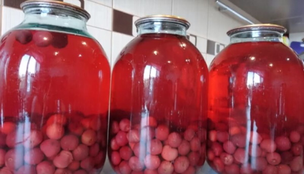 Компот вишня с корицей. kompot iz vishni na zimu retsept 5. Компот вишня с корицей фото. Компот вишня с корицей-kompot iz vishni na zimu retsept 5. картинка Компот вишня с корицей. картинка kompot iz vishni na zimu retsept 5. Наступил сезон заготовок на зиму. Пора уже всем задуматься и о приготовлении компота. Я вам настоятельно рекомендую сварить его со спелой вишней. С этой ягодой компот всегда получается особенным! Обычно за всеми застольями вишнёвый напиток уходит моментально. Его употребляют и взрослые, и ребятишки.