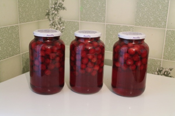 Компот вишня с корицей. kompot iz vishni na zimu retsept 6. Компот вишня с корицей фото. Компот вишня с корицей-kompot iz vishni na zimu retsept 6. картинка Компот вишня с корицей. картинка kompot iz vishni na zimu retsept 6. Наступил сезон заготовок на зиму. Пора уже всем задуматься и о приготовлении компота. Я вам настоятельно рекомендую сварить его со спелой вишней. С этой ягодой компот всегда получается особенным! Обычно за всеми застольями вишнёвый напиток уходит моментально. Его употребляют и взрослые, и ребятишки.