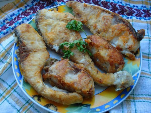 Как вкусно приготовить толстолобика в духовке, мультиварке, жареного на сковороде. Рецепт целиком, стейками пошагово