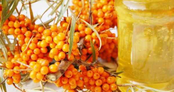 Компот облепиха с апельсином. kompot iz oblepihi retsept 1. Компот облепиха с апельсином фото. Компот облепиха с апельсином-kompot iz oblepihi retsept 1. картинка Компот облепиха с апельсином. картинка kompot iz oblepihi retsept 1. Время приготовления: 20 минут
