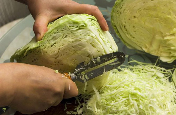 Щи из свежей капусты с говядиной, свининой, курицей, картофелем. Рецепты на зиму