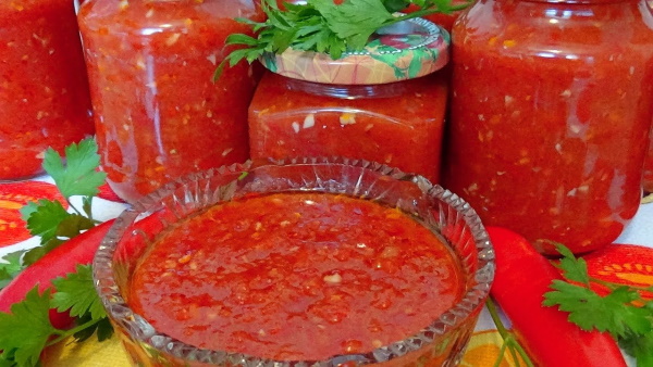 Соусы к мясу. Рецепты в домашних условиях вкусные на зиму из слив, ягод, томатной пасты, яблок, смородины