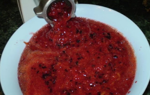 Соусы к мясу. Рецепты в домашних условиях вкусные на зиму из слив, ягод, томатной пасты, яблок, смородины