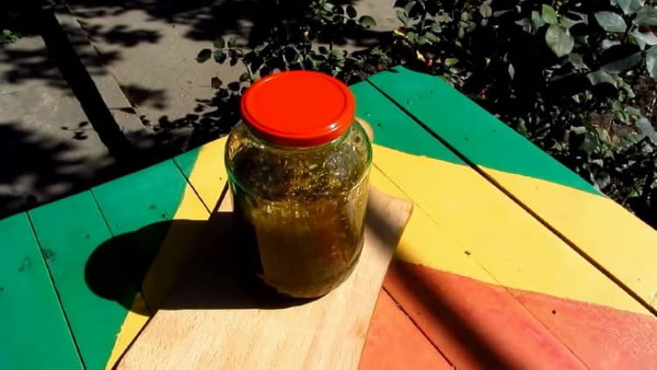 Абсент в домашних условиях. Рецепт из самогона, спирта, водки, полыни, как сделать с перегонкой и без. Пошагово