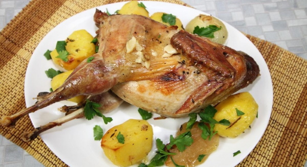 Блюда из фазана. Рецепты простые, вкусные в рукаве, духовке, мультиварке с грибами, картофелем, сливками