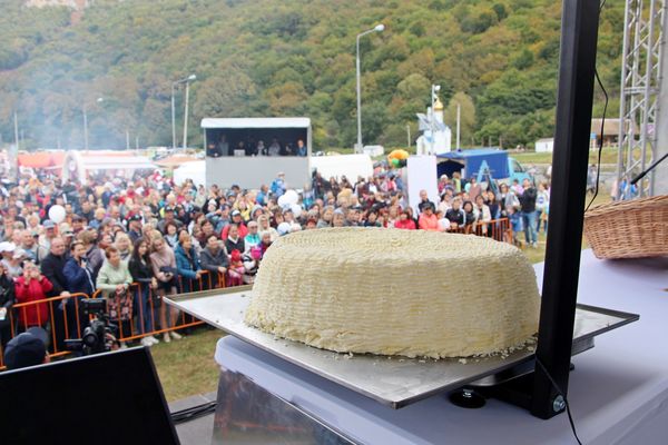 Сыр адыгейский в домашних условиях из молока козьего, коровьего, творога, кефира. Рецепт с фото