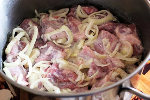 Шашлык из свинины. Рецепты маринада классического с уксусом, лимоном, луком, майонезом