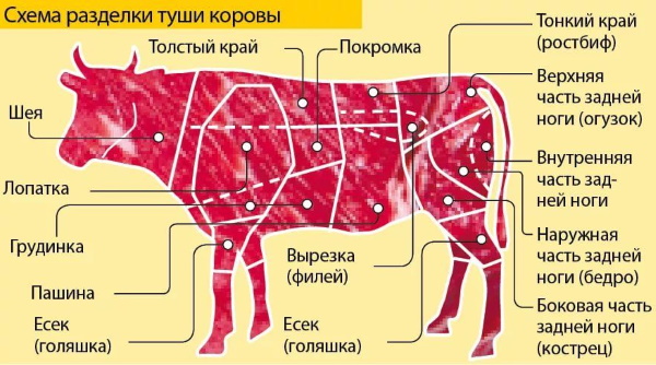 Оковалок говяжий. Что это такое, какая часть туши, что приготовить, рецепты в духовке, мультиварке