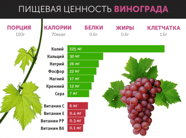 Салат Гроздь винограда с курицей. Рецепты с грецкими орехами, грибами