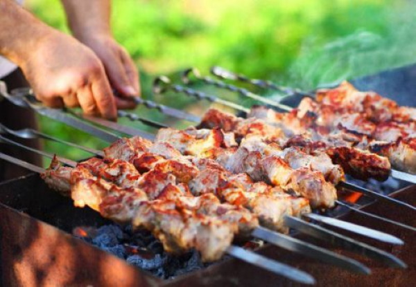 Шашлыки в кефире. Рецепты из свинины, курицы, говядины, как замариновать, чтобы мясо было сочным с киви, лимоном, луком, брусникой