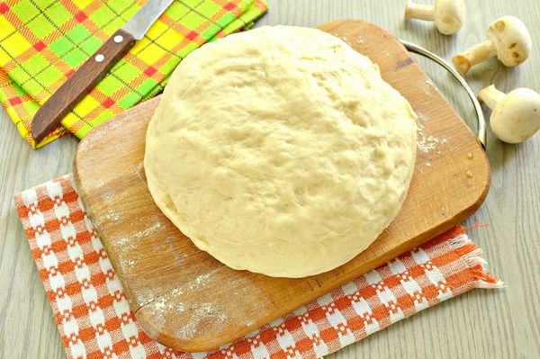 Тесто для пирожков дрожжевое на молоке пышные рецепт с фото пошагово с живыми