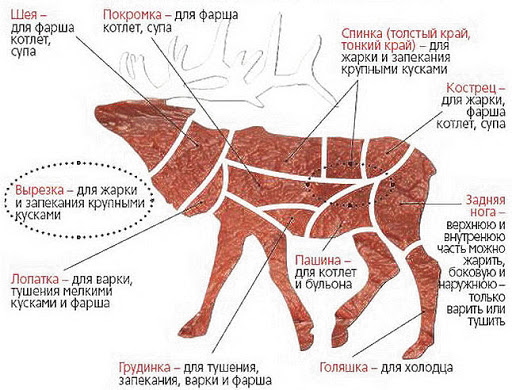 Оленина в духовке. Рецепты приготовления с картошкой, брусникой, овощами, салом