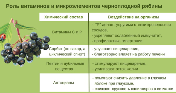 Варенье из черноплодной рябины. Польза и вред, противопоказания. Рецепты