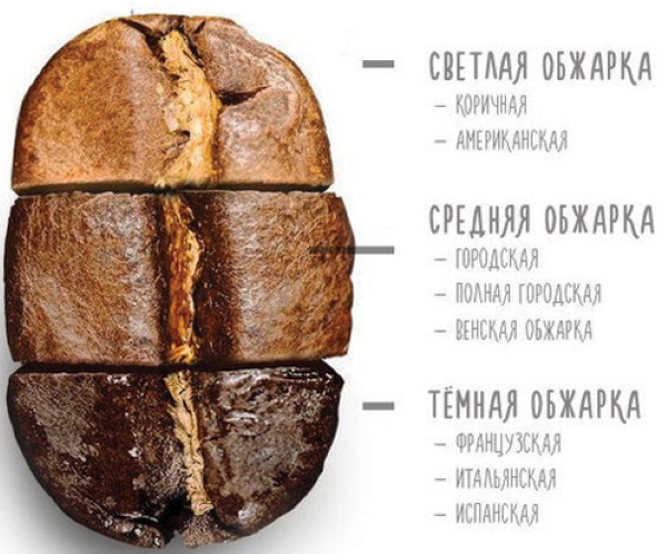 Лучший кофе в зернах. Топ-10 самых вкусных