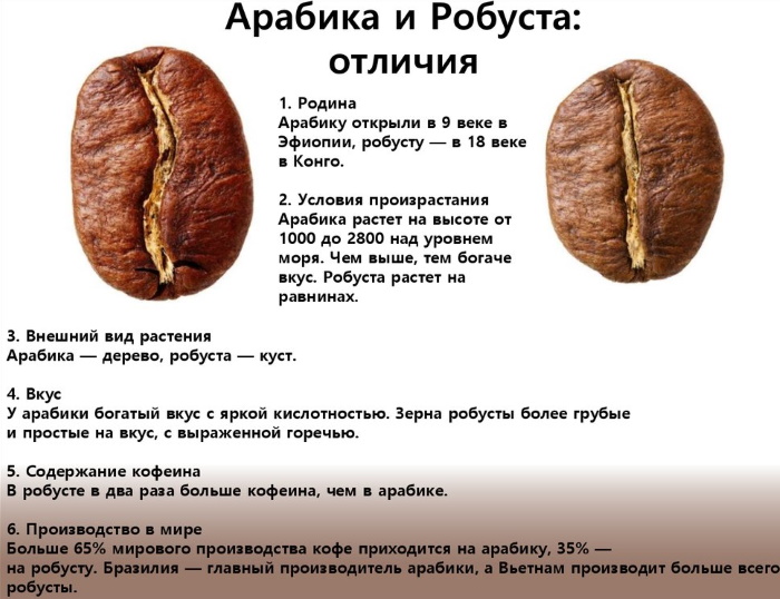 Лучший кофе в зернах. Топ-10 самых вкусных