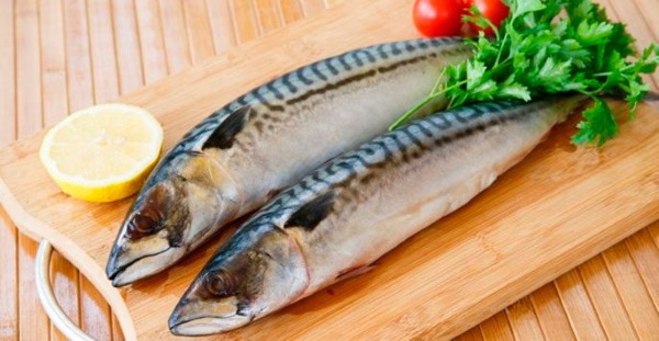 Провесная скумбрия в бутылке, рассоле. Рецепт в домашних условиях