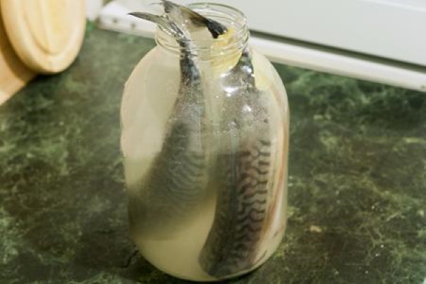 Провесная скумбрия в бутылке, рассоле. Рецепт в домашних условиях