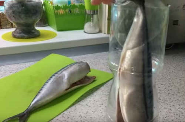 Провесная скумбрия в бутылке, рассоле. Рецепт в домашних условиях