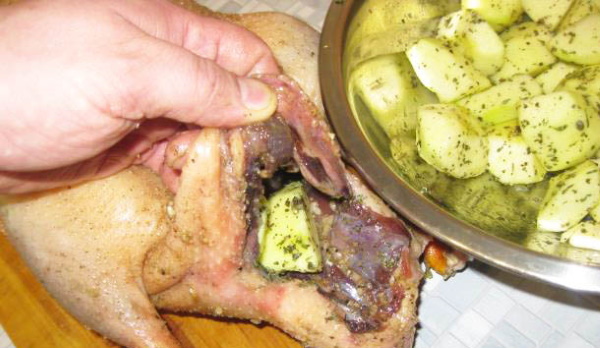 Гусь в гусятнице с яблоками, картошкой кусочками в духовке