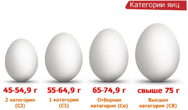 Категории куриных яиц по ГОСТ: вес, классификация