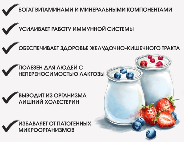 Закваска для йогурта в мультиварке. Рецепт, какие бывают