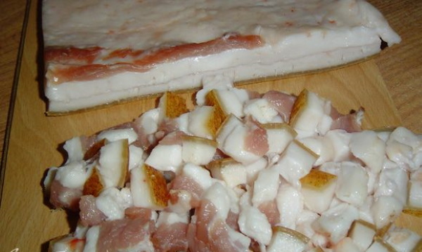 Смалец с чесноком. Рецепт приготовления в блендере, мясорубке