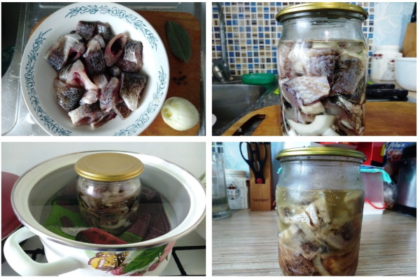 Консервы из карася в домашних условиях. Рецепт с фото