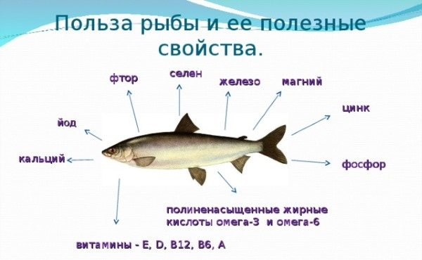 Сугудай из горбуши. Рецепт классический с фото