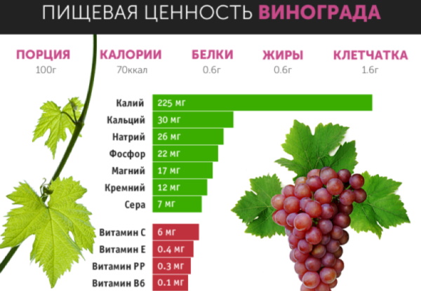 Как сделать вино из виноградного сока в домашних условиях