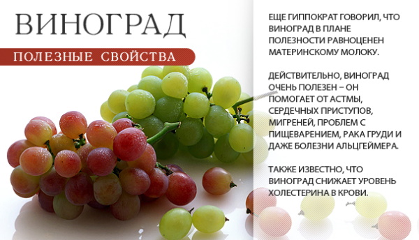 Виноград на зиму в банках. Рецепты заготовок, что сделать