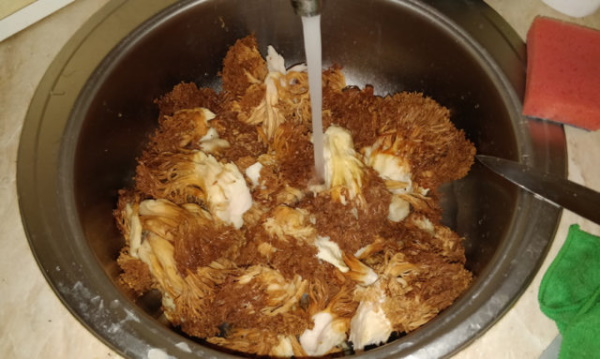 Грибы Оленьи рожки. Фото, как готовить, рецепты