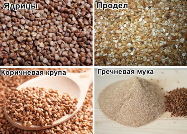 Гречка по-купечески в мультиварке с курицей. Рецепт с фото