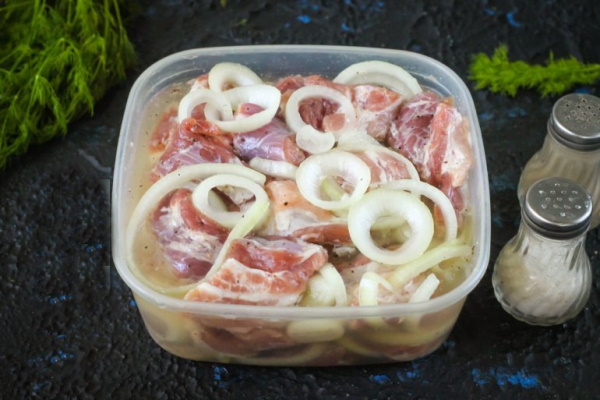 Мясо как шашлык на решетке в духовке. Рецепт с фото