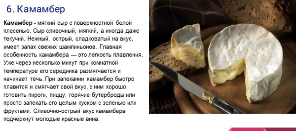 Сыр Камамбер. Рецепт, как приготовить в домашних условиях