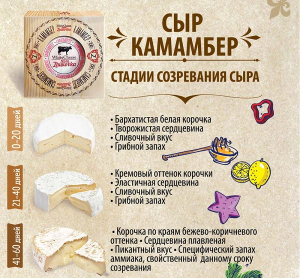 Сыр Камамбер. Рецепт, как приготовить в домашних условиях