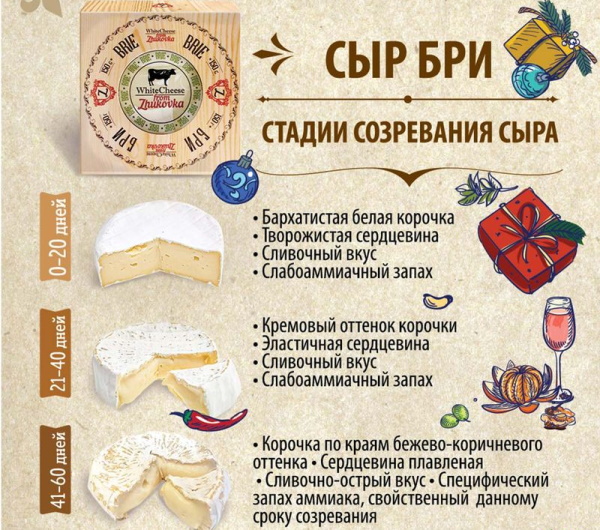 Сыр с белой плесенью камамбер с чем есть и как есть. Рецепты приготовления блюд с камамбером с фото