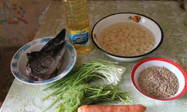 Уха из головы щуки. Рецепты с фото в домашних условиях