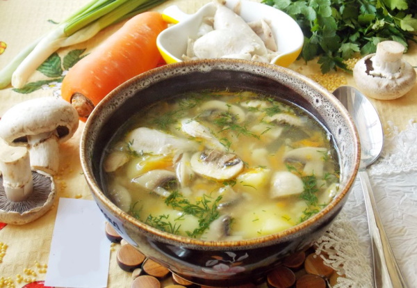 Супы из курицы и куриными потрохами. Рецепты с фото