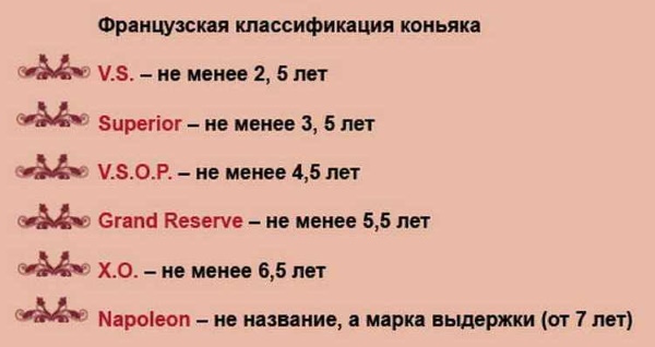 Лучший коньяк: хороший и недорогой в России, мире. Рейтинг