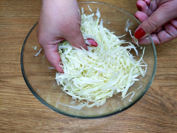 Шарлотка с капустой в духовке. Рецепт быстро и просто