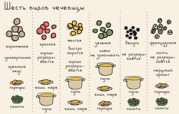 Как варить чечевицу зеленую, красную, коричневую. Пропорции воды