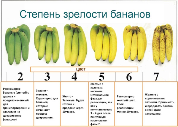 Варенье из бананов на зиму. Рецепт пошагово